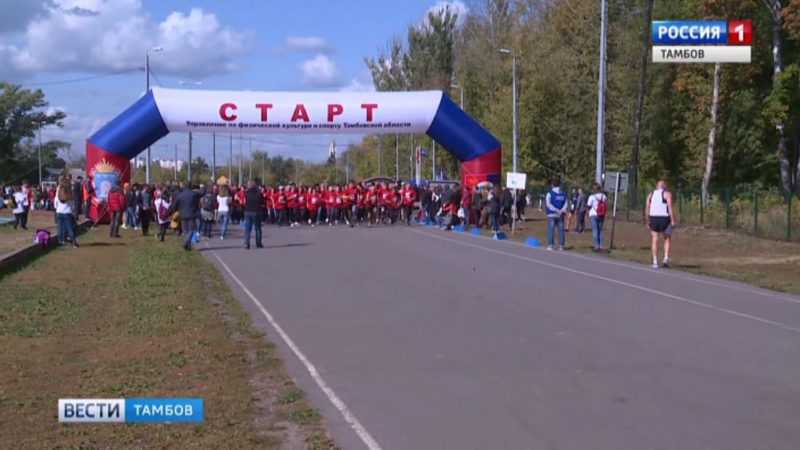 Тамбов вело. Тамбов парк Державинский. ТГУ Тамбов парк Дружба. ТГУ им Державина Тамбов стадион. Парк перед Державинским Тамбов.