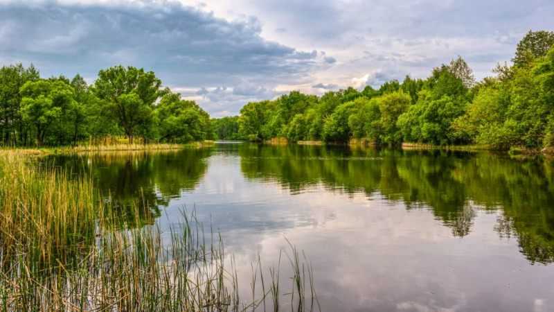 Реки тамбовской области фото