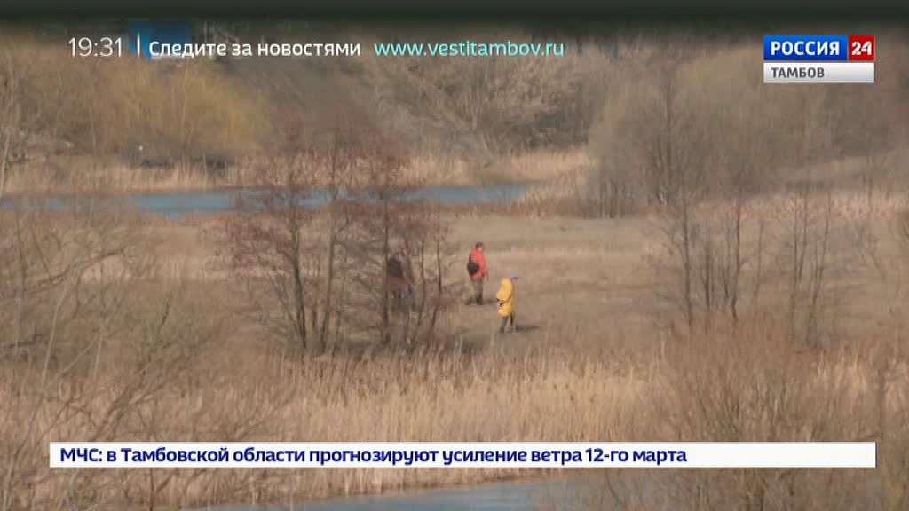 Лиза чернова тамбовская область что случилось на самом деле фото