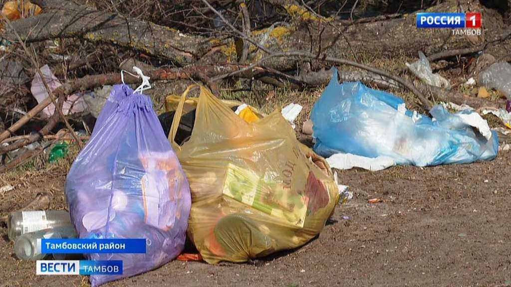 Пакет с мусором рассыпавшийся. Агаповский муниципальный район отходы. В районе мусорке