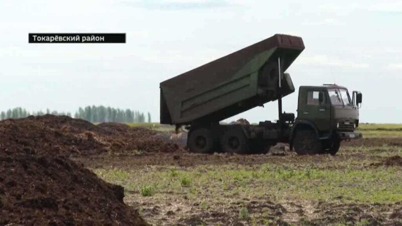Максим Егоров осмотрел пшеницу в Токаревском районе и поговорил с аграриями