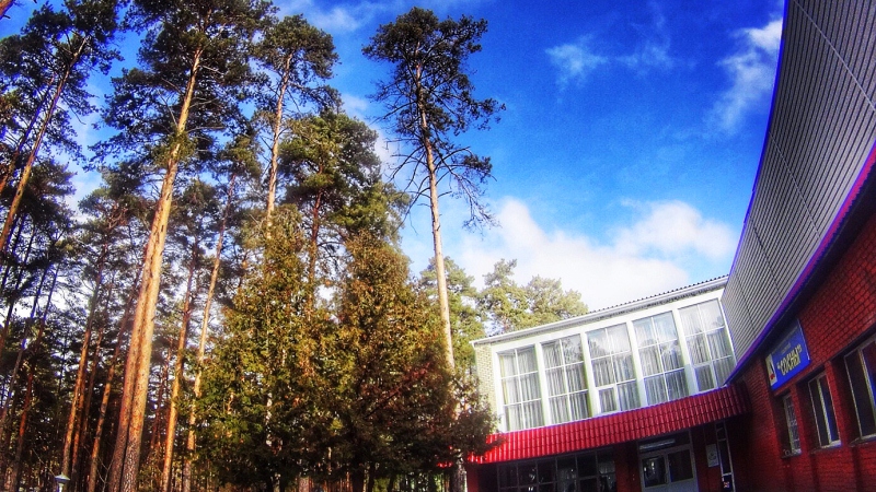 Сосновый угол тамбов