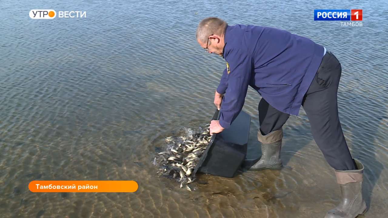 Челнавская водохранилище. Челнавское водохранилище Тамбов. Челнавское водохранилище Тамбов рыбалка. Челнавское водохранилище рыбалка. Рыбалка на Челнавском водохранилище Тамбовской.