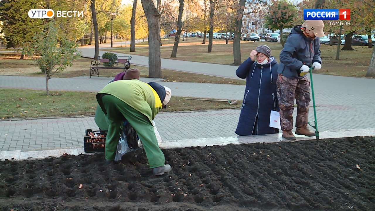 Вел тамбов