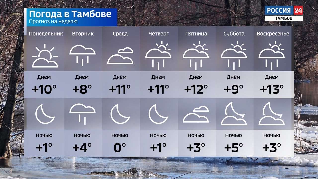 Карта осадков в тамбове сейчас