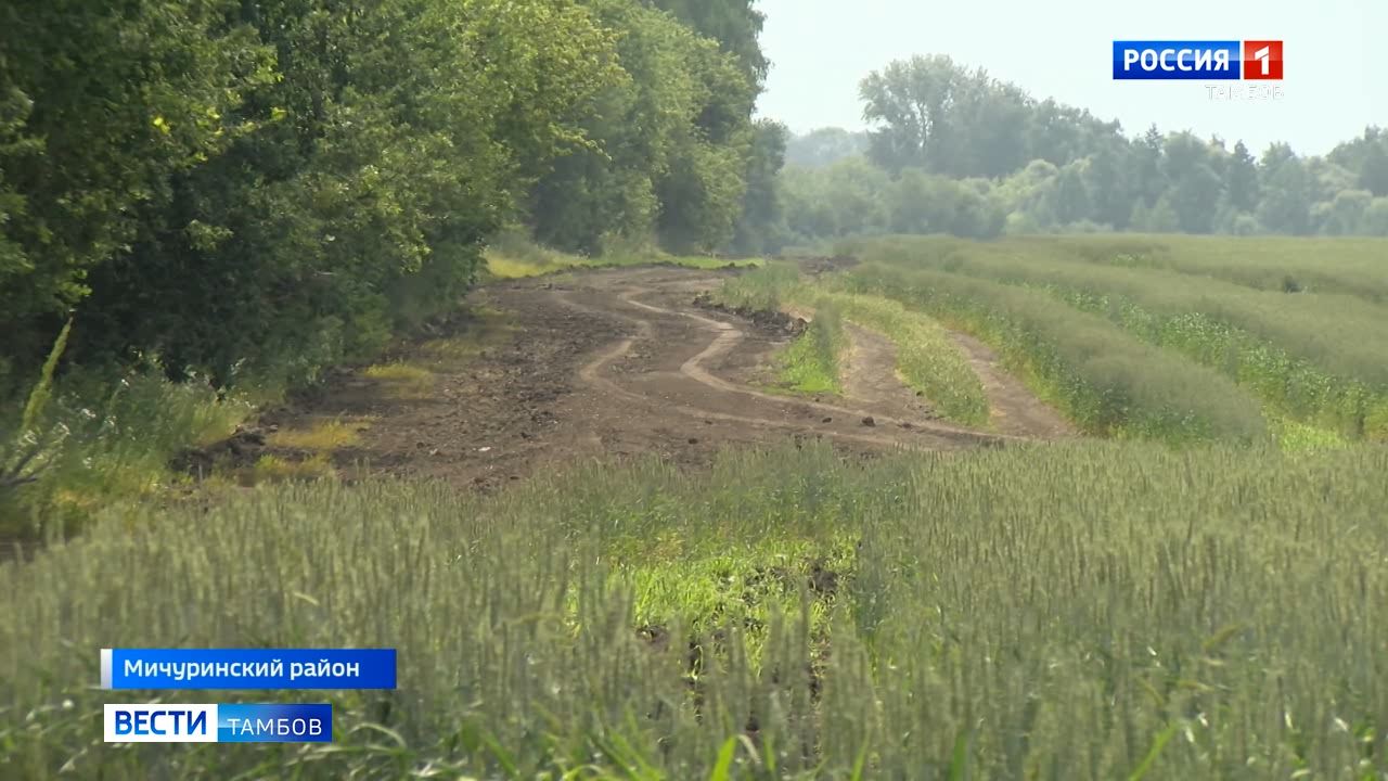 Дорога вроде бы есть, но её вроде бы и нет: как жители деревни Казинские  Выселки бьются с бездорожьем - ВЕСТИ / Тамбов