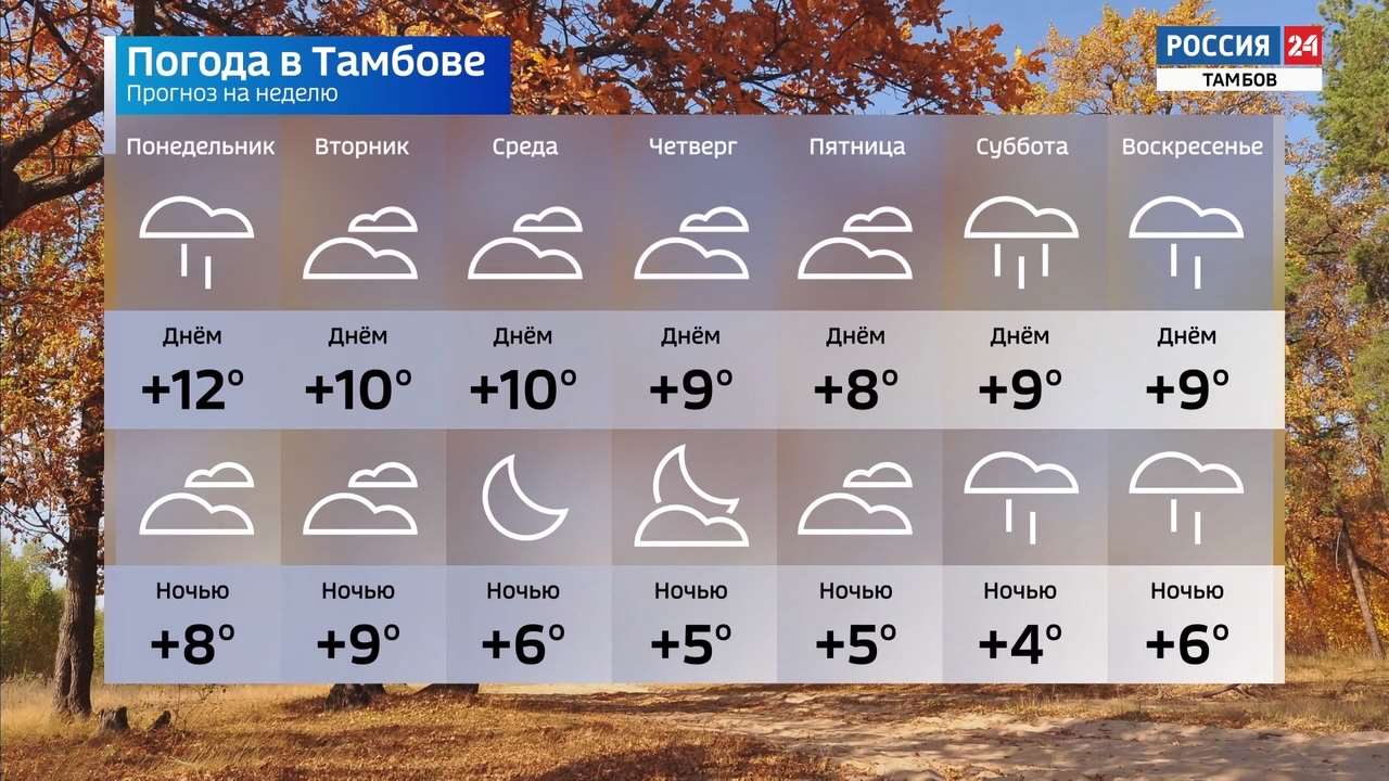 Карта прогноза погоды тамбов