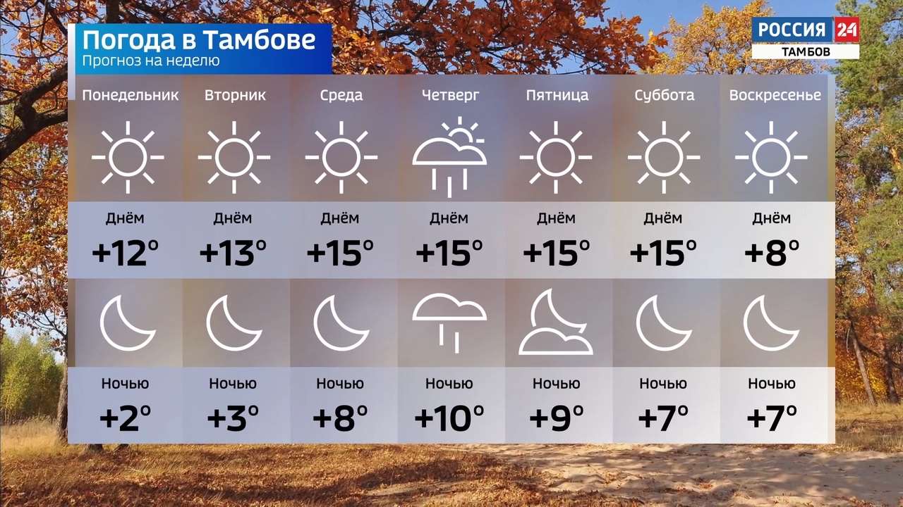 Погода тамбов на неделю 10. Погода в Тамбове. Погода в Тамбове на неделю. Прогноз Тамбов. Погода в Тамбове сегодня.