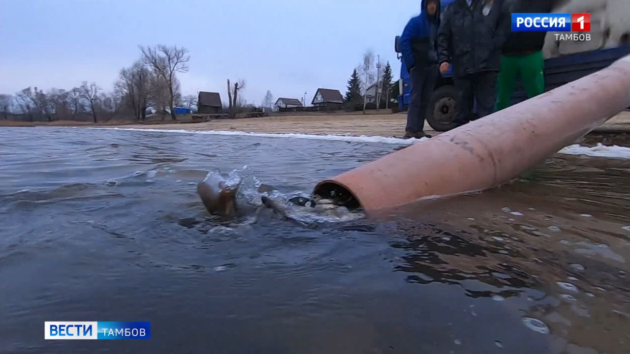 В Челнавское водохранилище выпустили последнюю в этом году партию молоди  сазана - ВЕСТИ / Тамбов