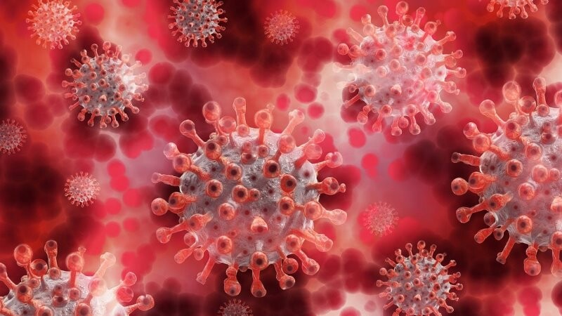 В Тамбовской области за минувшие сутки коронавирусом заразились ещё 185 человек