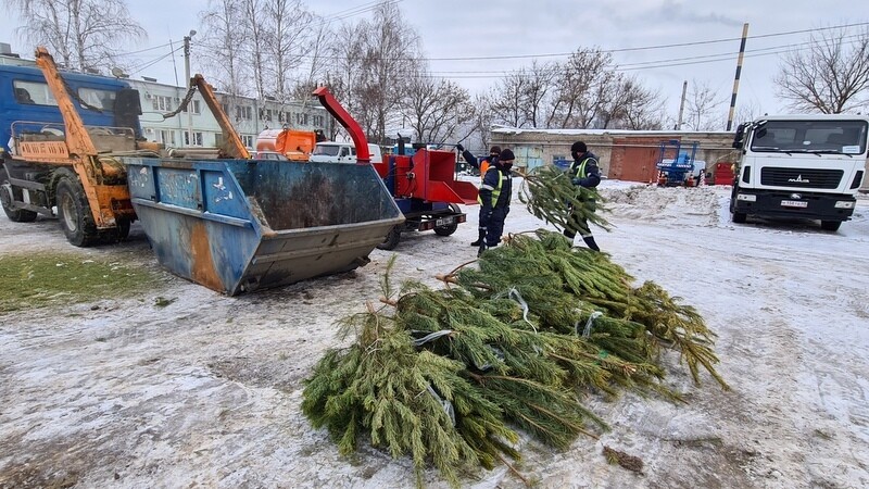«ТСК» собрала в Тамбове на переработку 60 кубометров новогодних елок