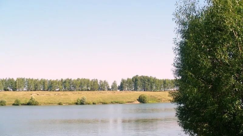 В Пичаевском районе начнется расчистка реки Пичаевки