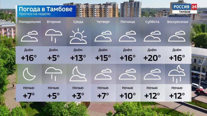 Заморозков в Тамбовской области на предстоящей неделе не прогнозируют