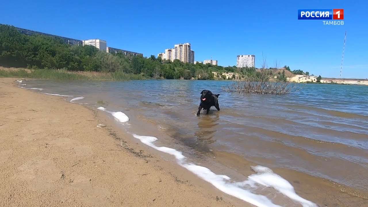 Дно Красненского карьера очистили от мусора | 06.06.2022 | Тамбов -  БезФормата