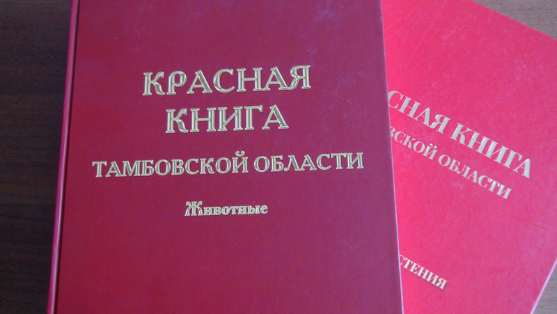 Животные красной книги тамбовской области фото