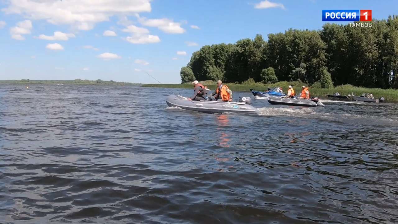 Шушпанское водохранилище тамбовской области фото