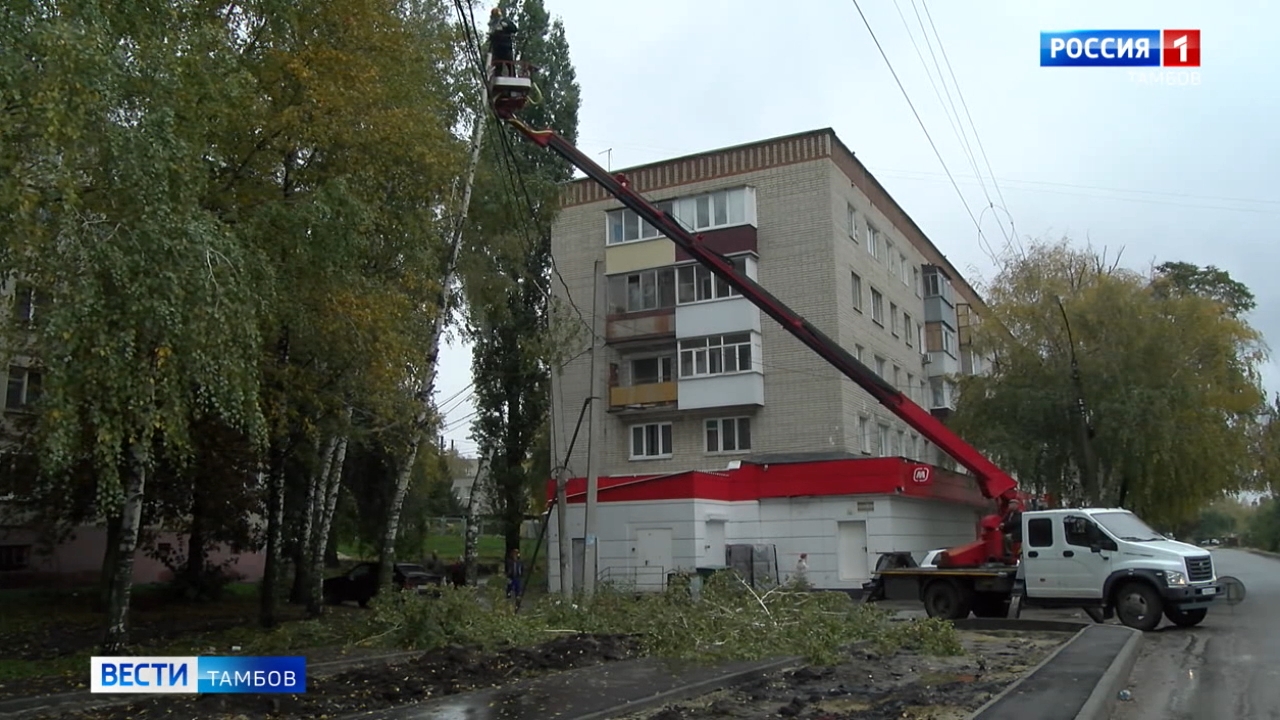 На Новикова-Прибоя опилили деревья, представляющие угрозу для водителей и  пешеходов | 11.10.2022 | Тамбов - БезФормата