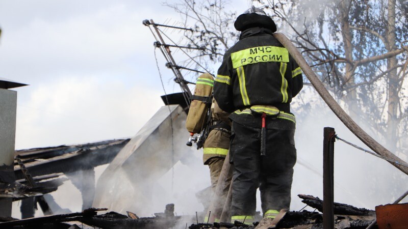 За неделю при пожарах в Тамбовской области два человека погибли и один пострадал