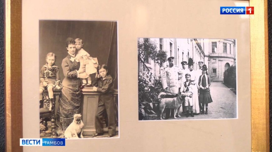 Царские снимки: в картинной галерее представили «Семейный альбом Николая II»