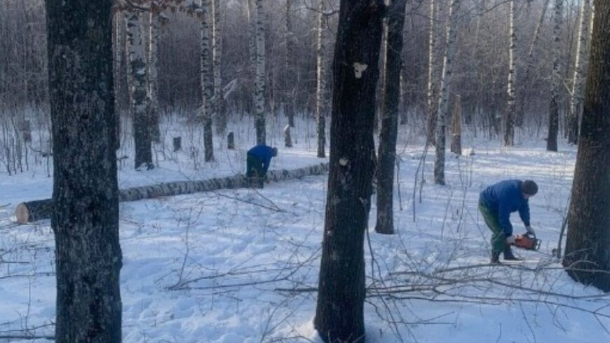 Парк Сахарного завода в Уварове расчистят от мелколесья и аварийных деревьев