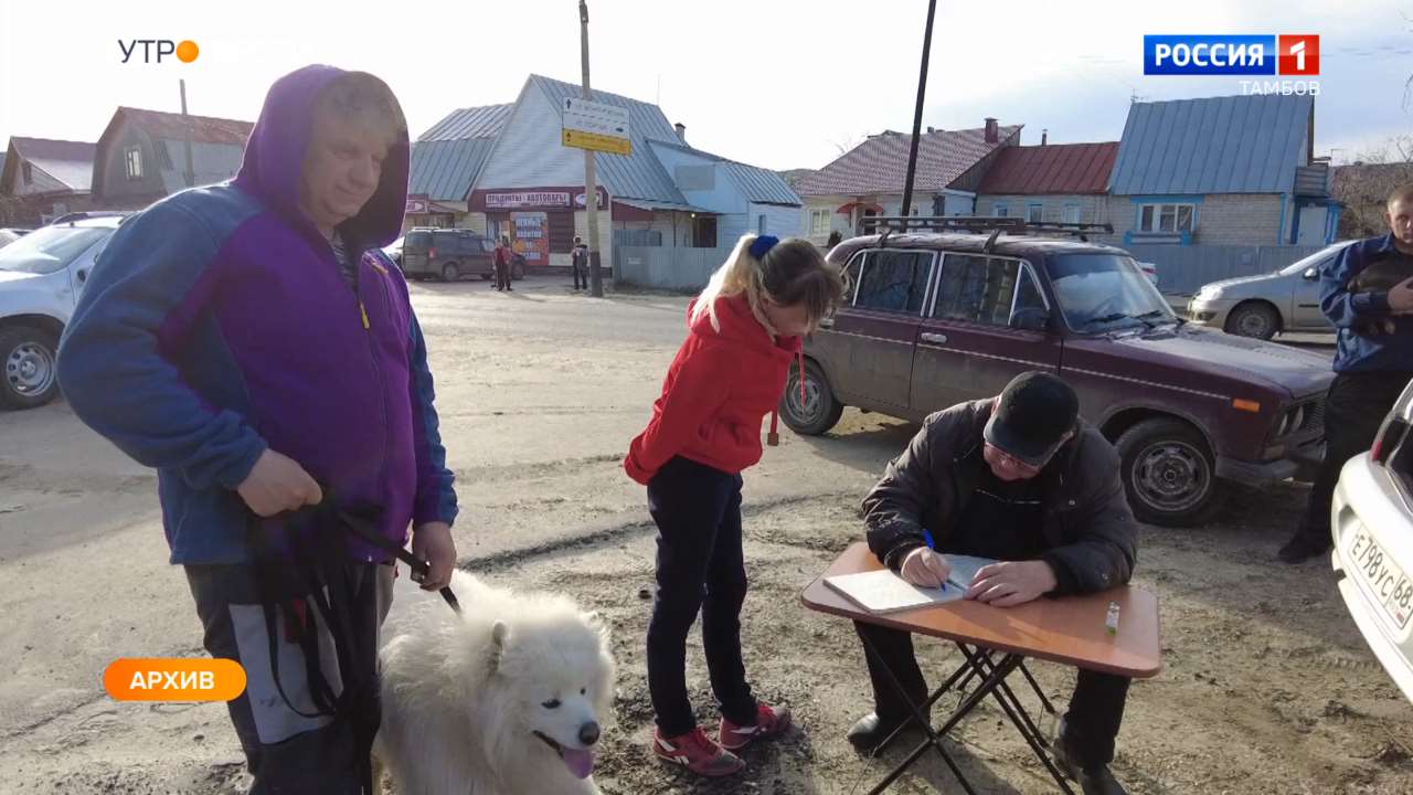 В Тамбове стартует ежегодная бесплатная вакцинация животных от бешенства |  21.03.2023 | Тамбов - БезФормата