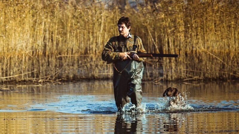 В Тамбовской области стартует весенне-летний сезон охоты на пернатую дичь
