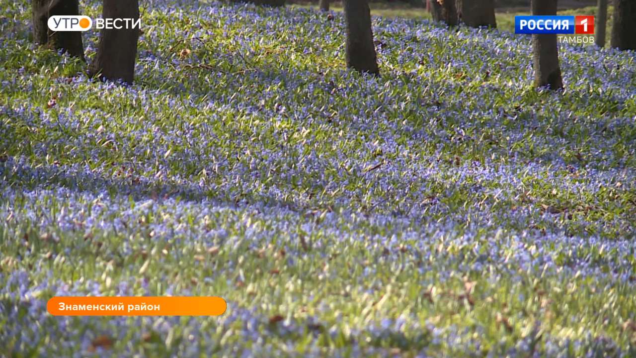 Одно из самых популярных в регионе мест для фотографий ждет гостей |  10.04.2023 | Тамбов - БезФормата