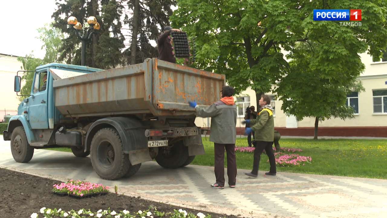 На городские клумбы Тамбова начали высаживать однолетние цветы - ВЕСТИ /  Тамбов