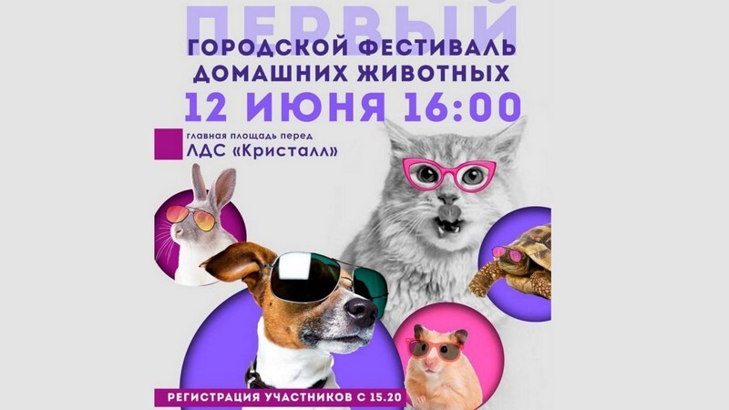 Тамбовчан приглашают поучаствовать в Первом городском фестивале домашних животных