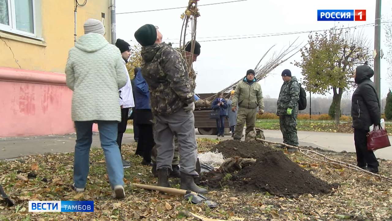 Возрождение тамбов. Новости Тамбова.