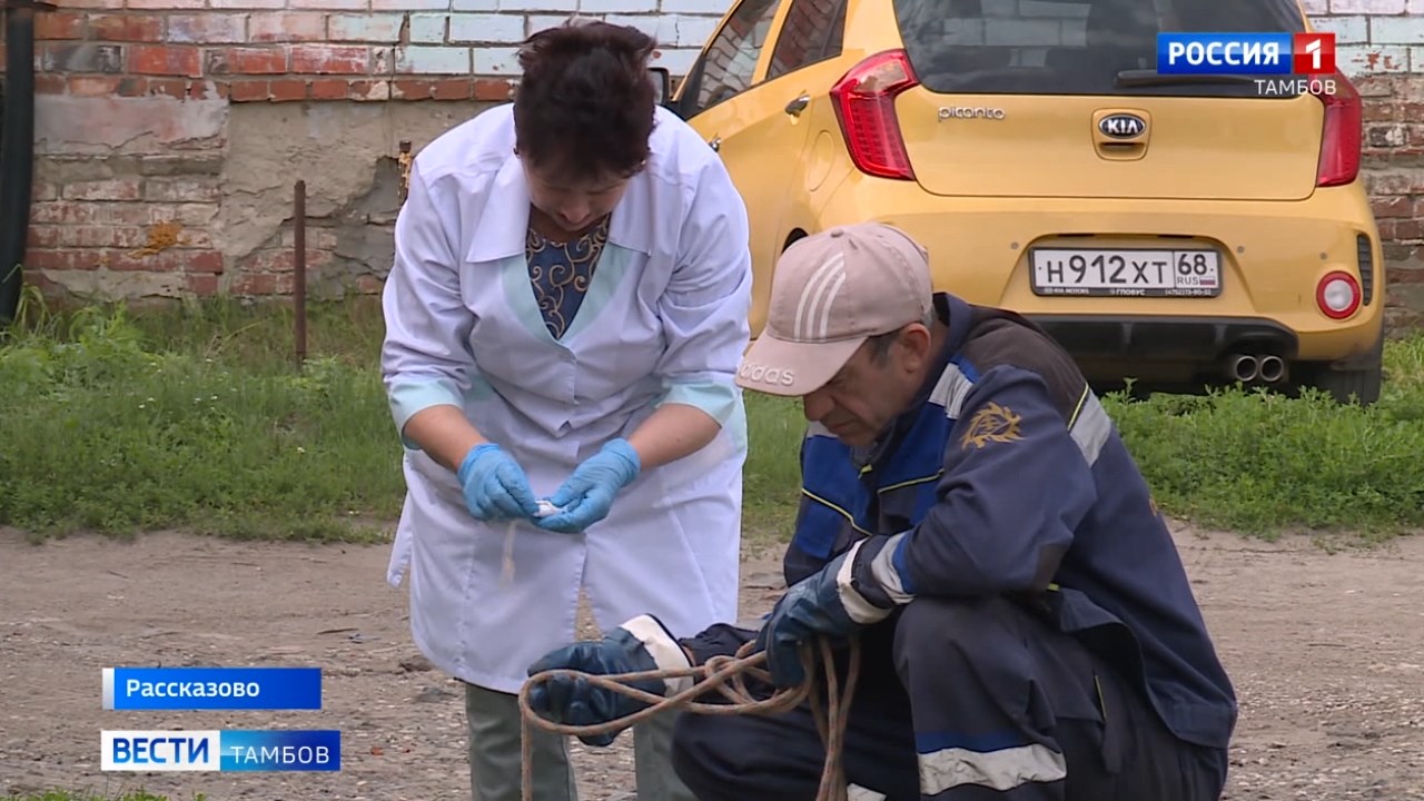 Взяли пробы и создали изоляцию: как сейчас обстоят дела в Рассказовской  ЦРБ, где лечится пациент с подозрением на холероподобный возбудитель |  21.07.2023 | Тамбов - БезФормата