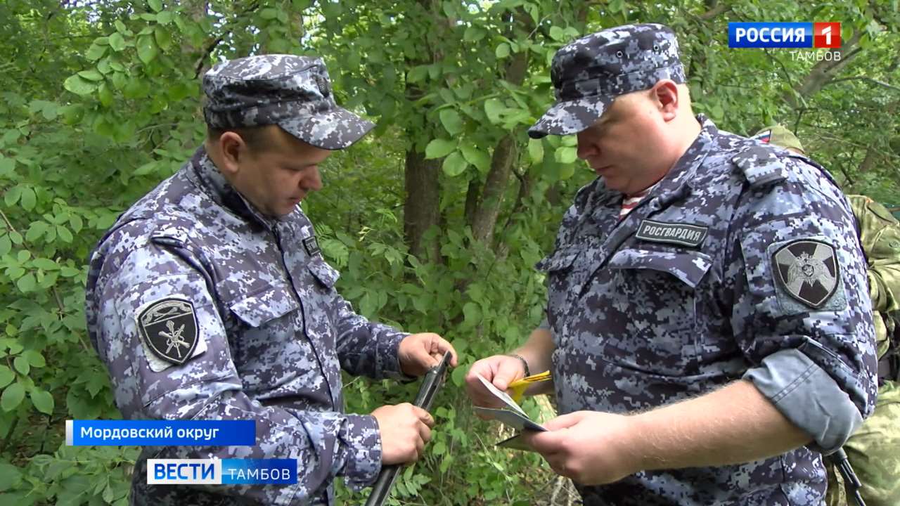 В ходе рейда Росгвардия изъяла 16 единиц огнестрельного оружия - ВЕСТИ /  Тамбов