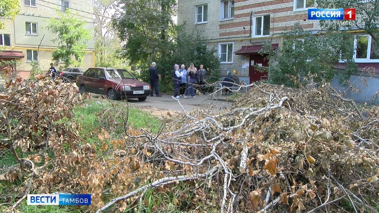 После опиловки деревьев во дворе на Карла Маркса уже несколько недель не  вывозят остатки древесины - ВЕСТИ / Тамбов