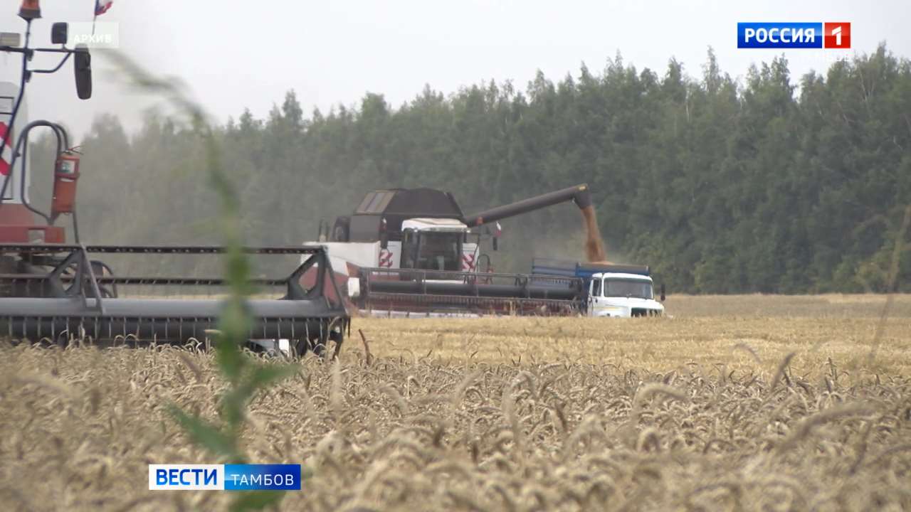 В копилке аграриев Тамбовской области - 5 миллионов тонн зерна - ВЕСТИ /  Тамбов