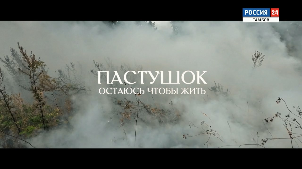 Фильм «Пастушок. Остаюсь чтобы жить» - ВЕСТИ / Тамбов