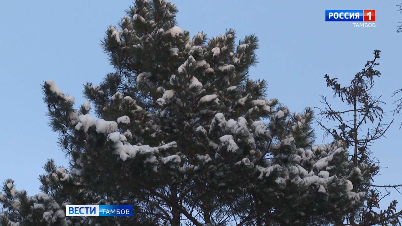 Погода в Тамбовской области: от +1 до +22 градусов