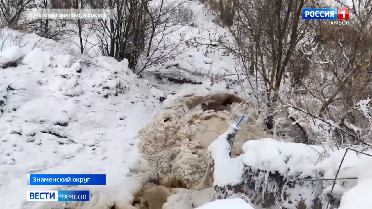 Сахарный завод в Знаменском округе загрязняет окружающую среду - ВЕСТИ /  Тамбов