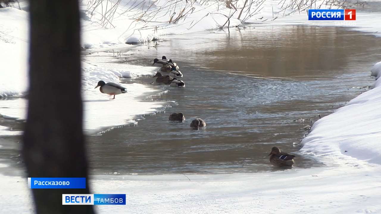 Погода в уварове по часам