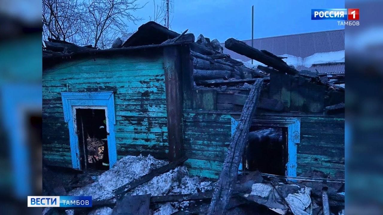 При пожаре дома в Мичуринске погиб отец и сын - ВЕСТИ / Тамбов