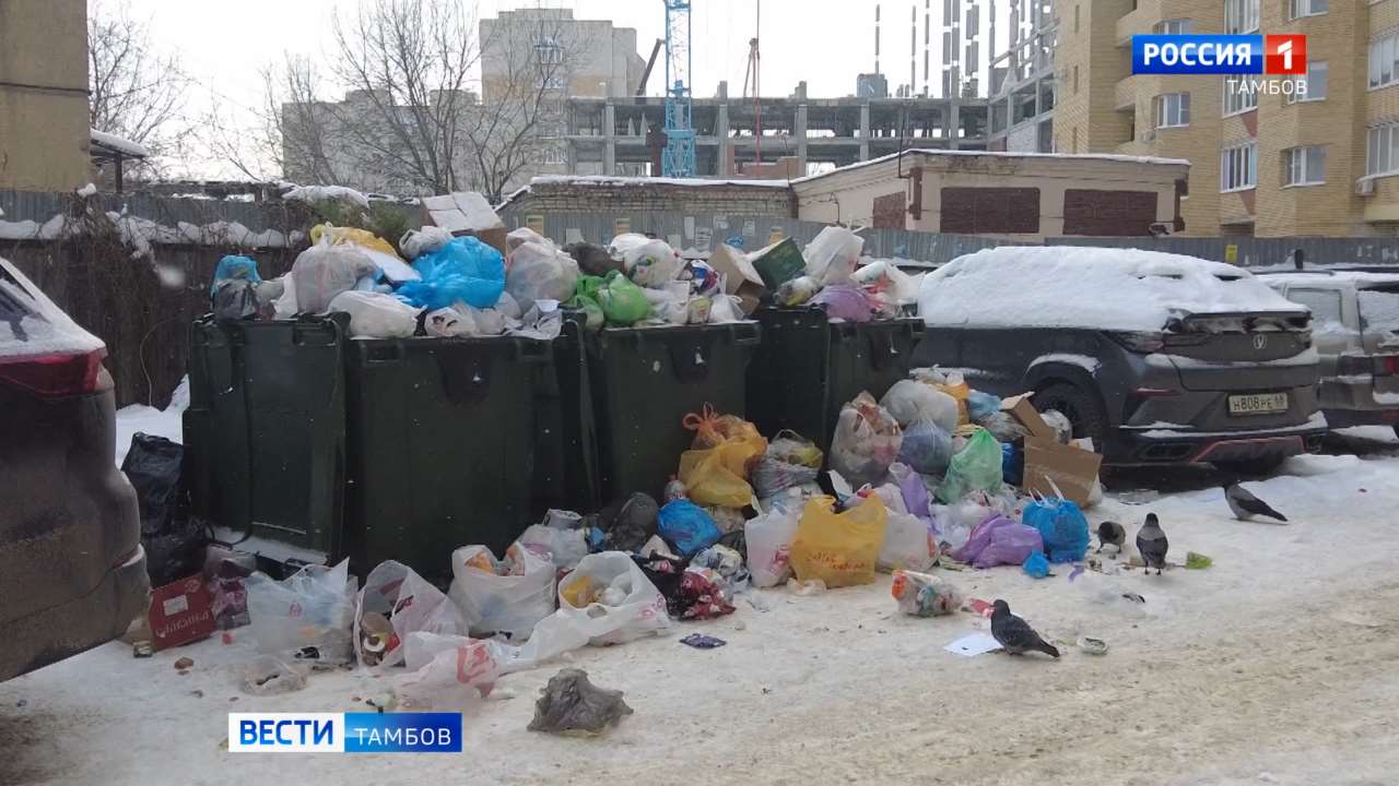Максим Косенков: «Главная задача – очистить Тамбов от мусора, которого слишком много»