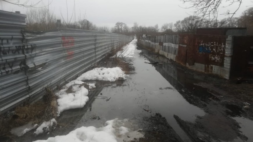 Министр экологии области взяла на контроль ситуацию со сбросом канализационных вод в реку Жигалка