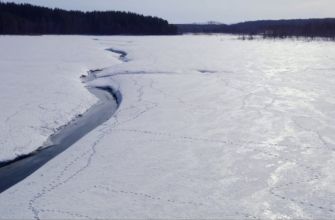 Публичная кадастровая карта тамбовской области петровского района