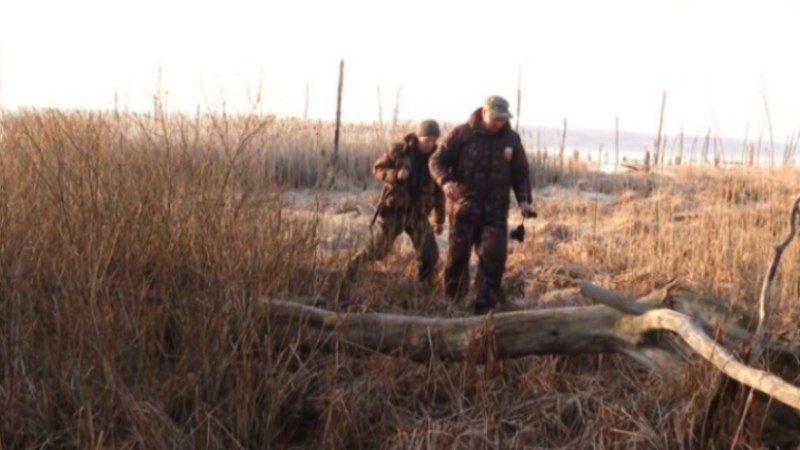 В Тамбовской области открывается сезон охоты на селезня с подсадной уткой и гуся