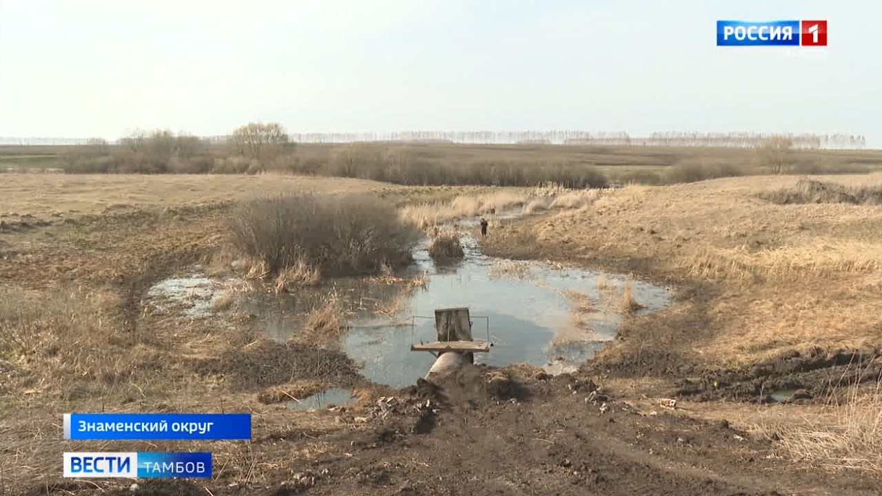 В Знаменском округе опустели два пруда - ВЕСТИ / Тамбов