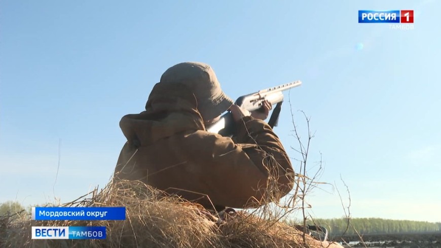 К осмотру: в Тамбовской области провели рейд по владельцам оружия