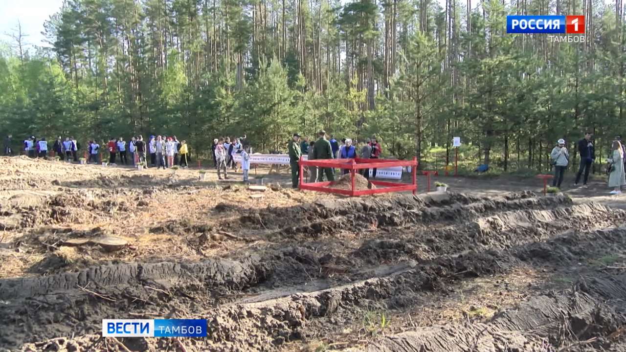 В Тамбовской области стартовал новый сезон акции «Сад памяти»
