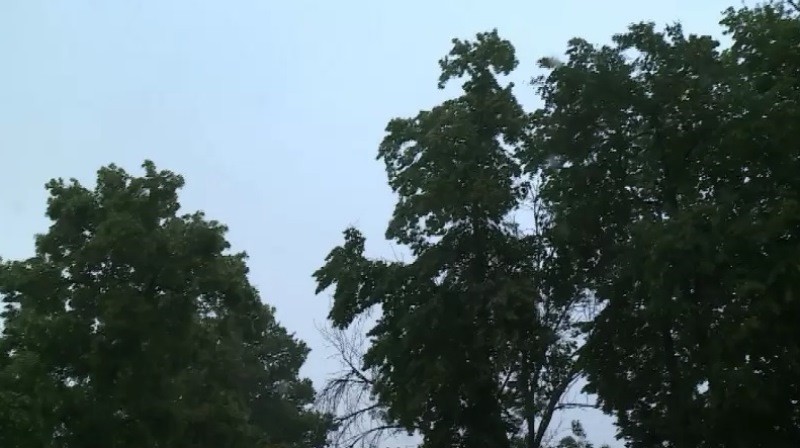 МЧС предупреждает о сильном ветре в Тамбовской области