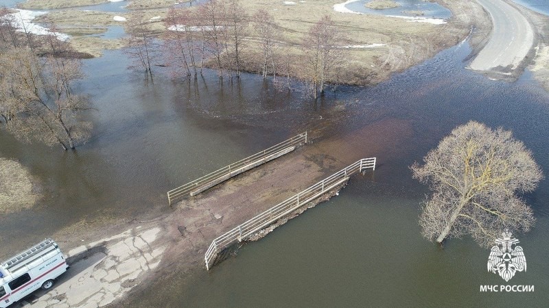 В Ржаксинском округе затопило мост в селе Перевоз