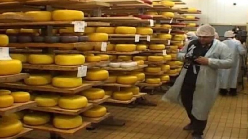 В Стрельцах состоится гастрономический фестиваль ремесленного сыра