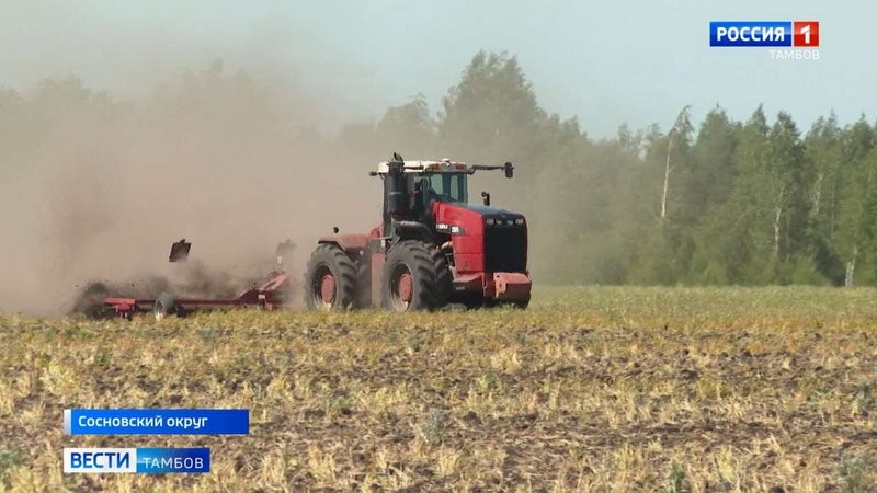 В регионе завершается пересев полей с погибшими от заморозков агрокультурами